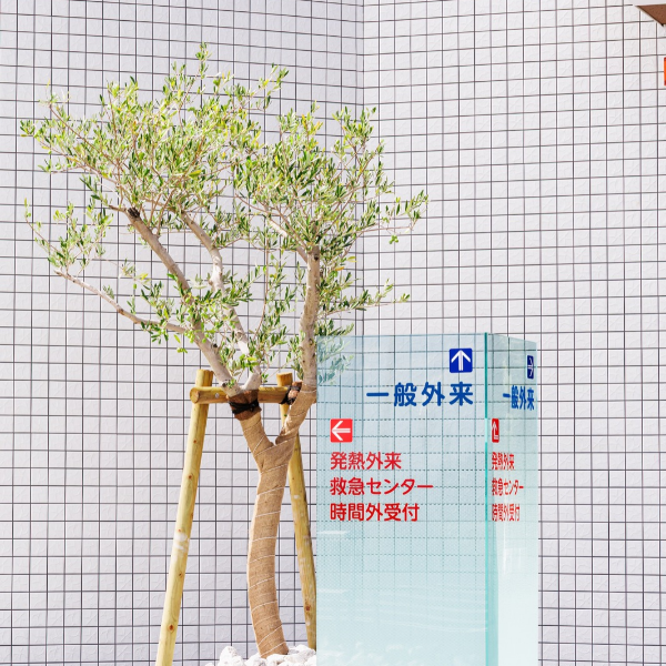 入り口の案内板